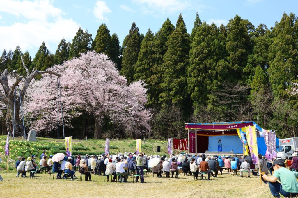 釜の越農村公園の桜群
