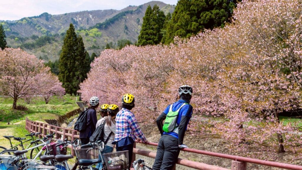 「川のみなとまち・桜巡り」プラン