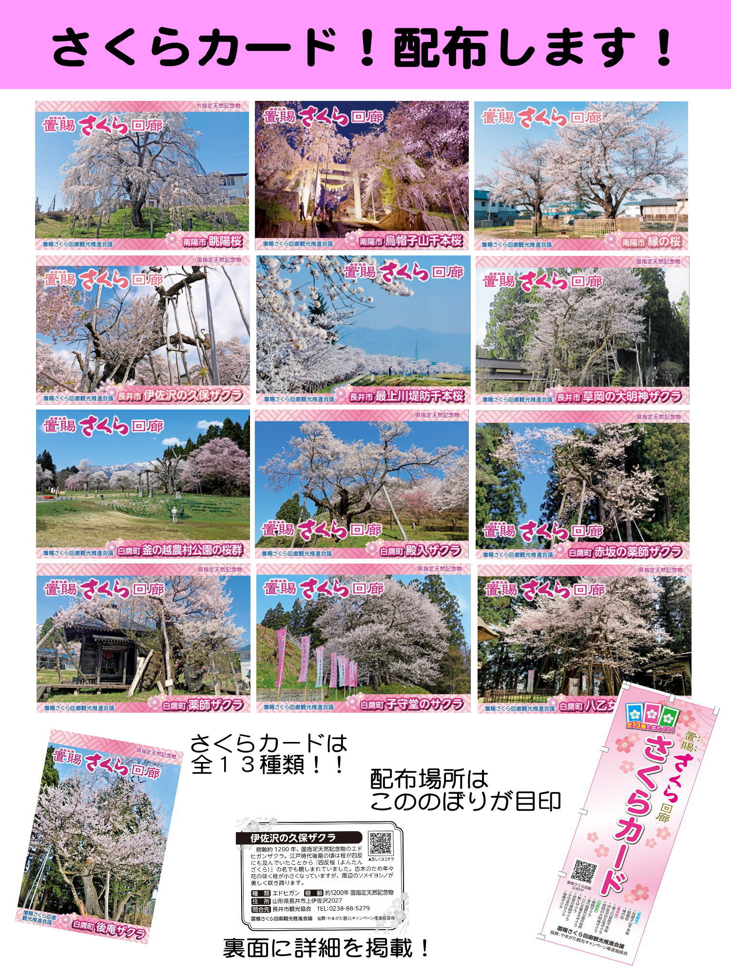 2026さくらカード