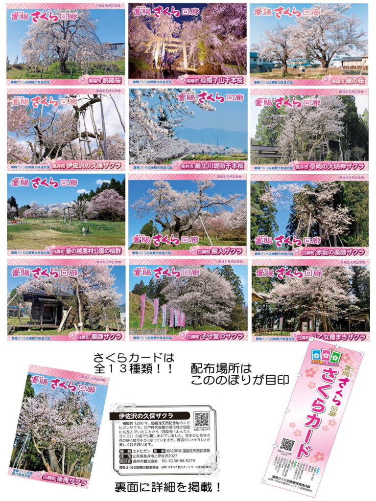 あつめよう！さくらカード